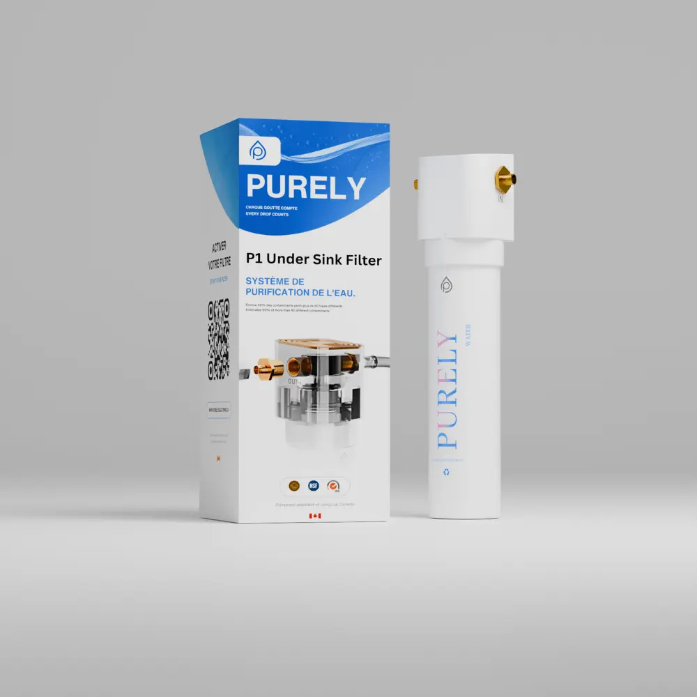 Filtre P1 Under-Sink à côté de sa boîte